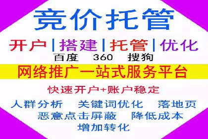 SEM代运营案例分析：精准投放策略解析